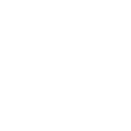 Regulatory consequences icon